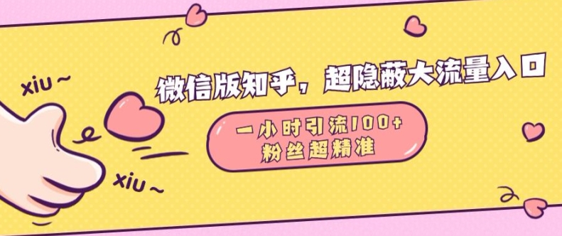 微信版知乎，超隐蔽流量入口1小时引流100人，粉丝质量超高【揭秘】-赚钱网