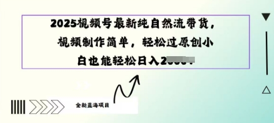 2025视频号最新纯自然流带货， 视频制作简单，轻松过原创小 白也能轻松操作-赚钱网