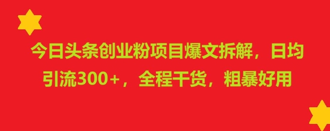 今日头条创业粉项目爆文拆解，日均引流300+，全程干货，粗暴好用-赚钱网