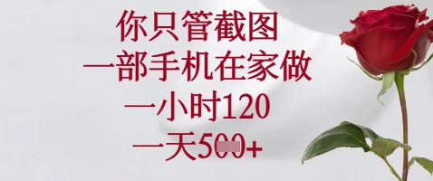 你只管截图，一部手机在家做，苹果安卓都可以，一小时120，一天5张+【揭秘】-赚钱网