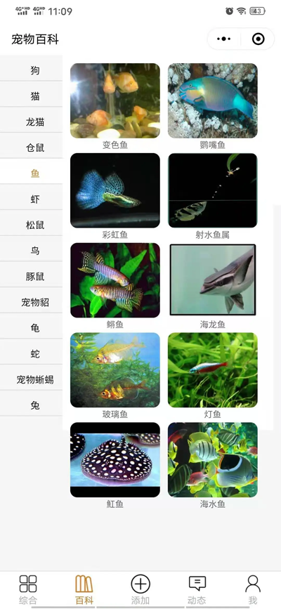 开源宠物社区微信小程序源码插图3