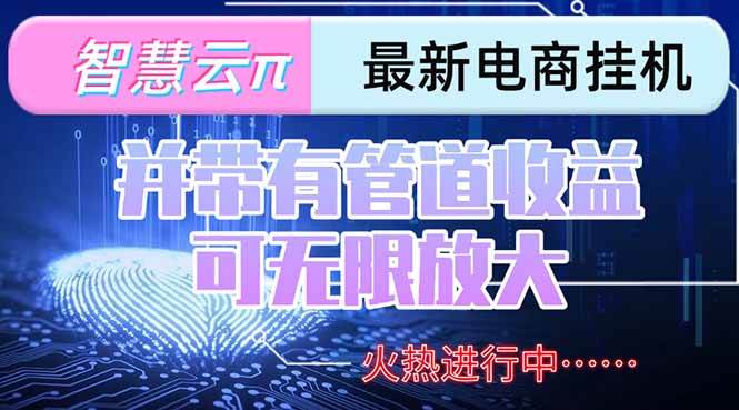 （15314期）智慧云π电脑挂机单机每天收益300—500+ 并带有团队管道收益 可无限放大-赚钱网