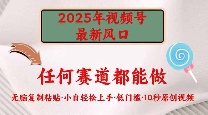 （14453期）2025年视频号新风口，低门槛只需要无脑执行-赚钱网
