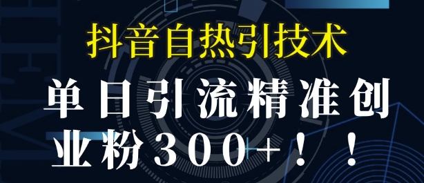 抖音自热引流，单日引流精准创业粉300+-赚钱网