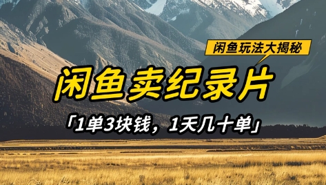 闲鱼卖纪录片1单3块钱，1天几十单，项目稳定有潜力-赚钱网