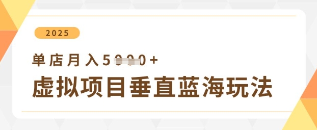 虚拟项目垂直玩法，实现单店月入5k+-赚钱网