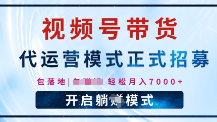 视频号代运营，全程托管计划招募，躺Z模式，单月轻松变现7k-赚钱网