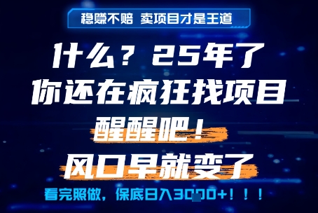 什么？25年你还在疯狂找项目做，醒醒吧，看完这些你全都懂了！【揭秘】-赚钱网