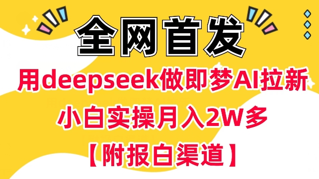用deepseek做即梦Ai拉新 小白实操月入过W+【附报白渠道】-赚钱网
