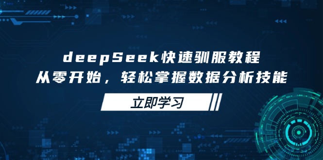 （14536期）deepSeek快速驯服教程，从零开始，轻松掌握数据分析技能-赚钱网