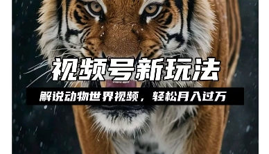 利用动物世界解说视频，赚分成计划收益，轻松月入过W，操作简单【揭秘】-赚钱网
