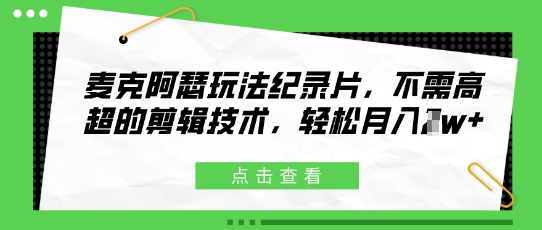 麦克阿瑟玩法纪录片，不需高超的剪辑技术，轻松月入1w+-赚钱网
