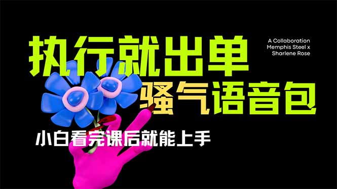 （14170期）爆火全网的开车导航骚气语音包,只要执行就出单，小白看完课程就能实操…-赚钱网