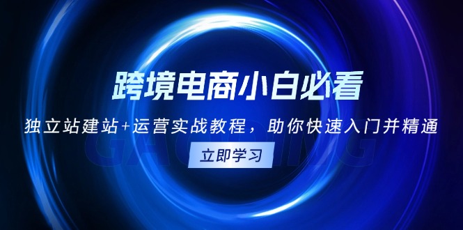 （13503期）跨境电商小白必看！独立站建站+运营实战教程，助你快速入门并精通-赚钱网