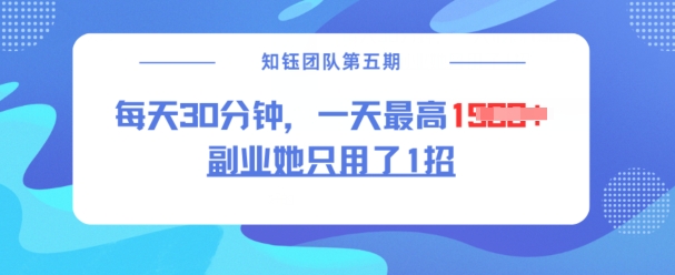 副业她只用了1招，每天30分钟，无脑二创，一天最高1.5k-赚钱网