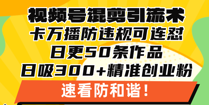 （13400期）视频号混剪引流技术，500万播放引流17000创业粉，操作简单当天学会-赚钱网