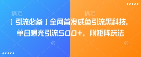 【引流必备】全网首发咸鱼引流黑科技，单日曝光引流500+，附矩阵玩法【揭秘】-赚钱网