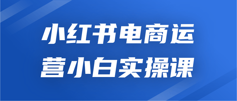 小红书电商运营小白实操课-赚钱网