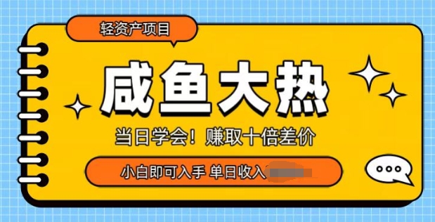 咸鱼大热轻资产类项目，当日学会，赚取十倍差价，小白即可入手-赚钱网