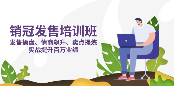 （14203期）销冠 发售培训班：发售 操盘+情商 飙升+卖点 提炼，实战提升百万业绩-赚钱网