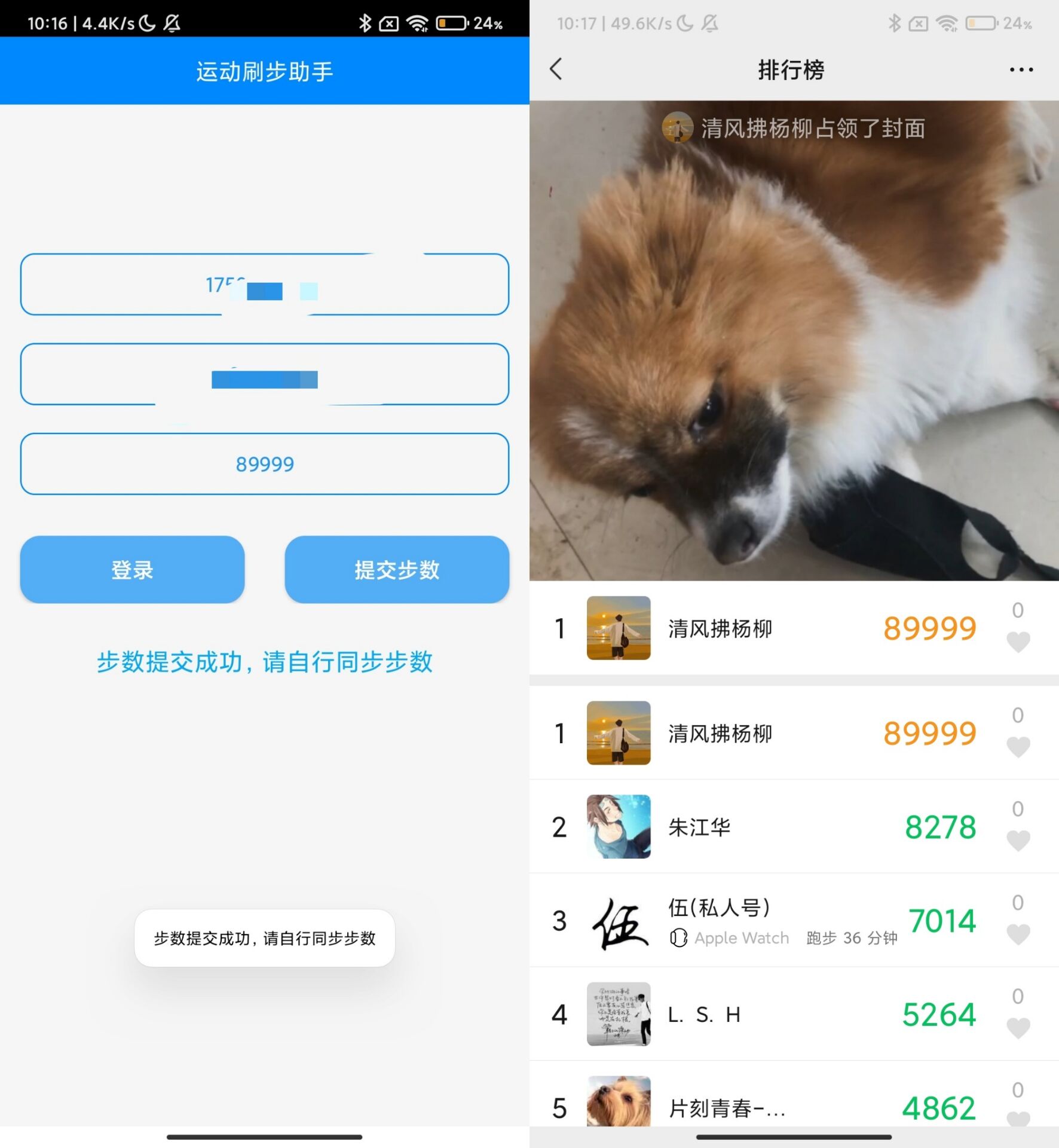 布偶步数助手 支持QQ微信支付宝-赚钱网