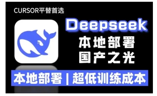 2025年deepseek R1 大型模型本地安装部署(文件+教程)本地部署，超低训练成本-赚钱网