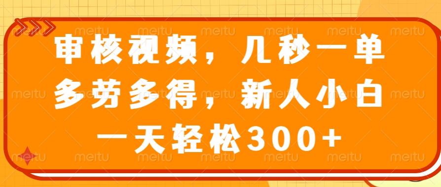 （14294期）审核视频，几秒一单，多劳多得，新人小白一天轻松300+-赚钱网