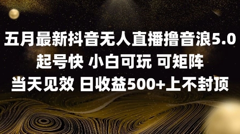 2025五月最新无人直播撸音浪单日产出5张+实操教程【揭秘】-赚钱网