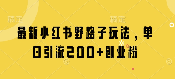 最新小红书野路子玩法，单日引流200+创业粉-赚钱网