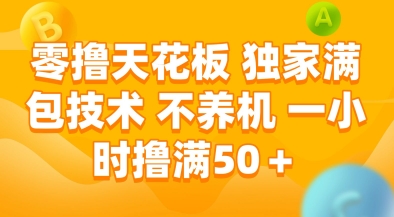 零撸天花板，独家满包技术，不用养机，一小时撸满50+，收益稳定【揭秘】-赚钱网