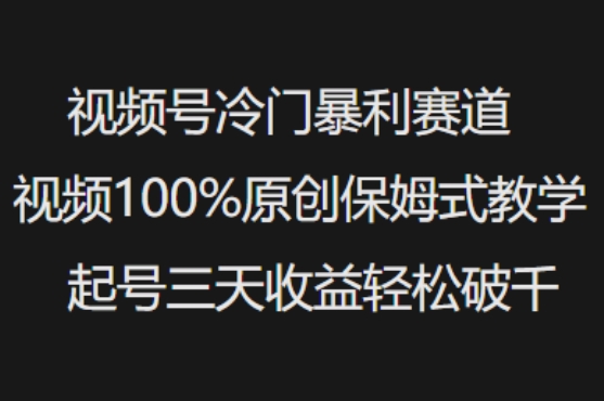 视频号冷门暴利赛道视频100%原创保姆式教学起号三天收益轻松破千-赚钱网