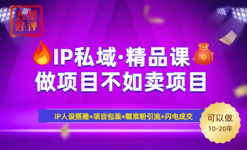 （14406期）2025年“IP私域·密训精品课”，日赚3000+小白避坑年赚百万，暴力引流…-赚钱网