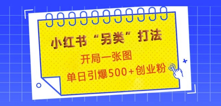小红书“另类”打法，开局一张图，单日引爆500+精准创业粉【揭秘】-赚钱网