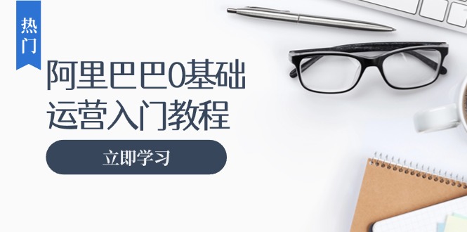 （13291期）阿里巴巴运营零基础入门教程：涵盖开店、运营、推广，快速成为电商高手-赚钱网