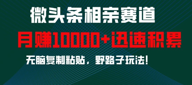 微头条相亲赛道，迅速积累，无脑复制粘贴，野路子玩法，月入1w-赚钱网