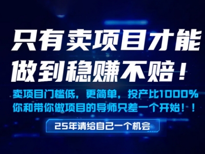 只有卖项目才能做到稳挣不赔，门槛低，更简单，你也可以年入百个W【揭秘】-赚钱网