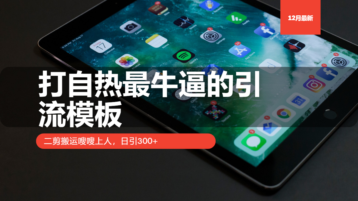 （13654期）打自热最牛逼的引流模板，二剪搬运嗖嗖上人，日引300+-赚钱网