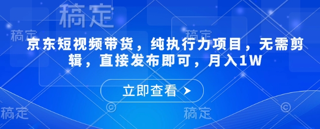 京东短视频带货，纯执行力项目，无需剪辑，直接发布即可，月入1W-赚钱网