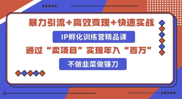 知识付费独家玩法：精准引流+高效变现，简单复制成功模式，最新IP共创导师训练营玩法-赚钱网