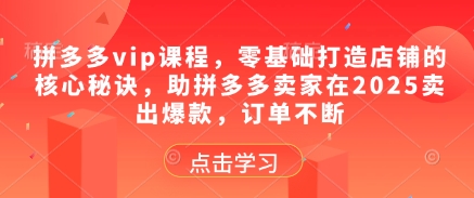 拼多多vip课程，零基础打造店铺的核心秘诀，助拼多多卖家在2025卖出爆款，订单不断-赚钱网