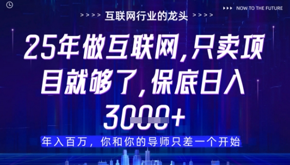 什么！25年你还在找项目做？风口早就变了，卖项目才是稳挣不赔【揭秘】-赚钱网