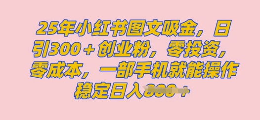 2025年小红书创业粉图文自热教程，日+300创业粉，单日变现多张，无脑操作，宝妈，小白抓紧冲-赚钱网