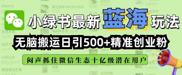 小绿书无脑搬运引流，全自动日引500精准创业粉，微信生态内又一个闷声发财的机会-赚钱网