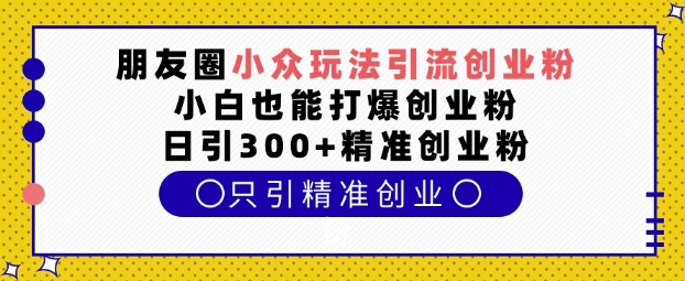 朋友圈小众玩法引流创业粉，小白也能打爆创业粉，日引300+精准创业粉【揭秘】-赚钱网
