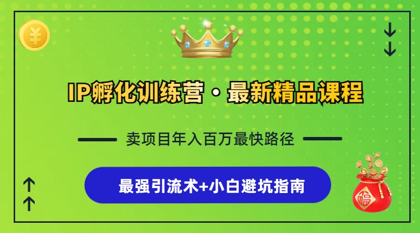 （13055期）IP孵化训练营，知识付费全流程+最强引流术+小白避坑指南-赚钱网