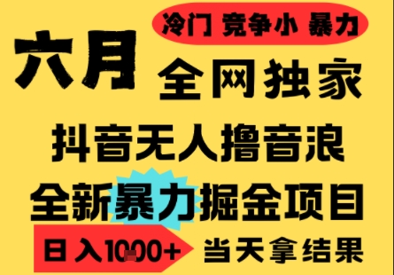 25年6月高爆抖音无人直播最新撸音浪掘金项目，小白可做，无脑日入1k+，门槛低可批量矩阵【揭秘】-赚钱网