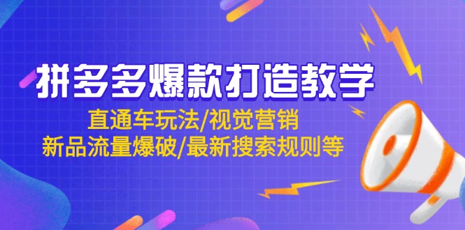 （14681期）拼多多爆款打造教学：直通车玩法/视觉营销/新品流量爆破/最新搜索规则等-赚钱网