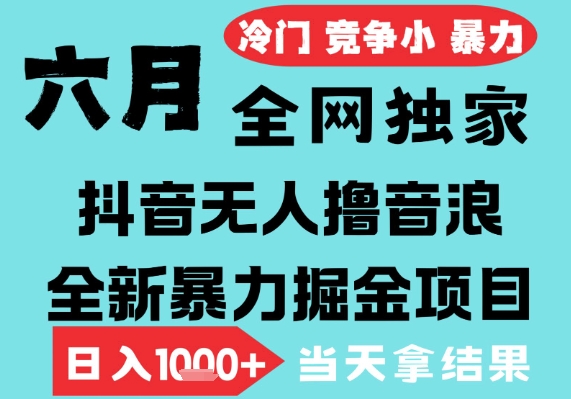 2025年6月高爆抖音无人直播最新撸音浪掘金项目，无脑日入1k+，低门槛小白可做，可矩阵放大【揭秘】-赚钱网