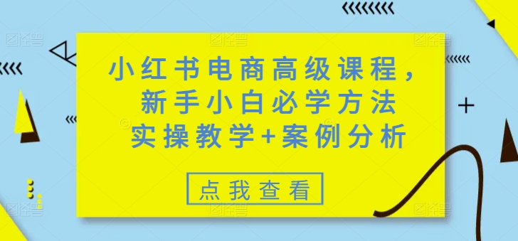 小红书电商高级课程，新手小白必学方法，实操教学+案例分析-赚钱网