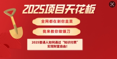 2025项目天花板普通人如何通过知识付费，实现财F自由【揭秘】-赚钱网